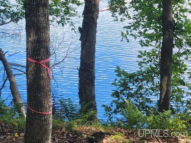 Your Ultimate Northwoods Destination!! Build your dream home on - photo 28