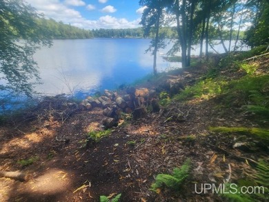 Your Ultimate Northwoods Destination!! Build your dream home on - photo 29