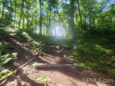 Your Ultimate Northwoods Destination!! Build your dream home on - photo 30