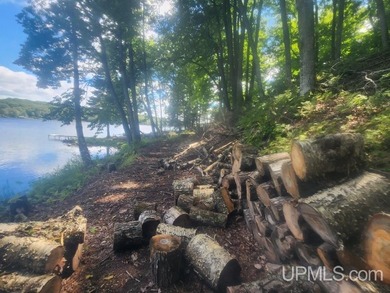 Your Ultimate Northwoods Destination!! Build your dream home on - photo 31