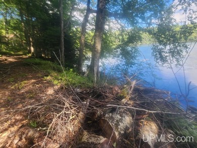 Your Ultimate Northwoods Destination!! Build your dream home on - photo 32