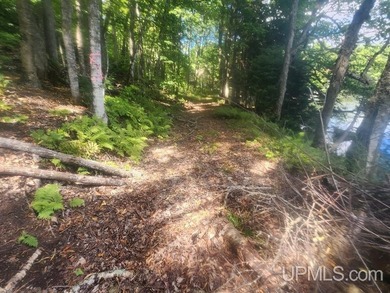 Your Ultimate Northwoods Destination!! Build your dream home on - photo 33