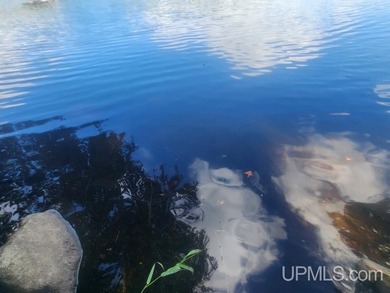 Your Ultimate Northwoods Destination!! Build your dream home on - photo 34