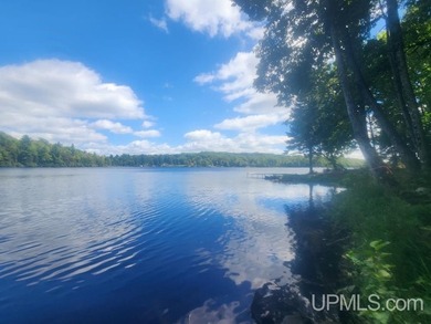Your Ultimate Northwoods Destination!! Build your dream home on - photo 35