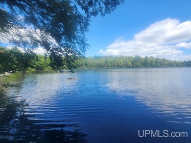 Your Ultimate Northwoods Destination!! Build your dream home on - photo 36