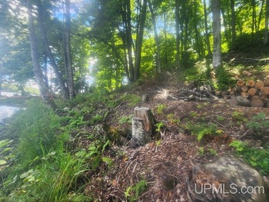 Your Ultimate Northwoods Destination!! Build your dream home on - photo 37