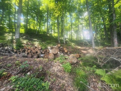 Your Ultimate Northwoods Destination!! Build your dream home on - photo 38