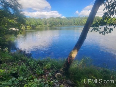 Your Ultimate Northwoods Destination!! Build your dream home on - photo 39