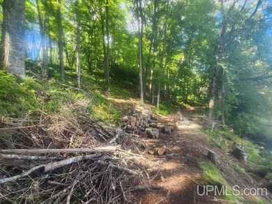 Your Ultimate Northwoods Destination!! Build your dream home on - photo 40