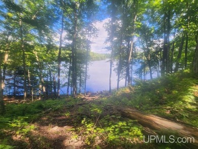 Your Ultimate Northwoods Destination!! Build your dream home on - photo 41
