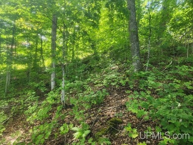 Your Ultimate Northwoods Destination!! Build your dream home on - photo 42