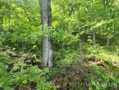 Your Ultimate Northwoods Destination!! Build your dream home on - photo 43