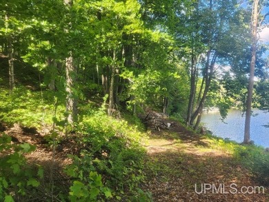 Your Ultimate Northwoods Destination!! Build your dream home on - photo 44