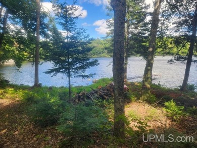Your Ultimate Northwoods Destination!! Build your dream home on - photo 45