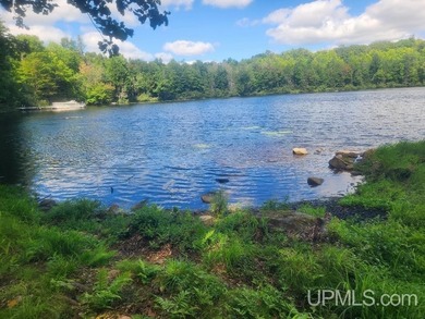 Your Ultimate Northwoods Destination!! Build your dream home on - photo 47