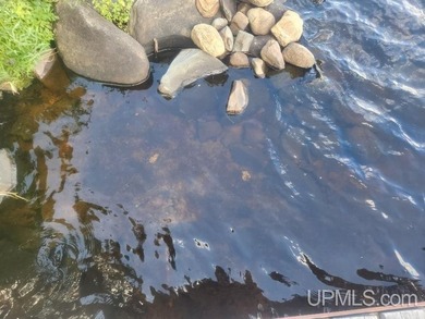 Your Ultimate Northwoods Destination!! Build your dream home on - photo 49