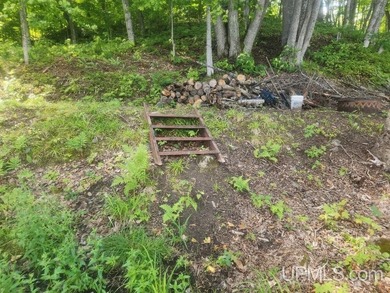 Your Ultimate Northwoods Destination!! Build your dream home on - photo 54