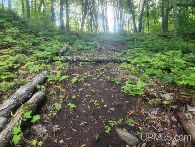 Your Ultimate Northwoods Destination!! Build your dream home on - photo 57