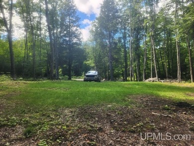 Your Ultimate Northwoods Destination!! Build your dream home on - photo 58