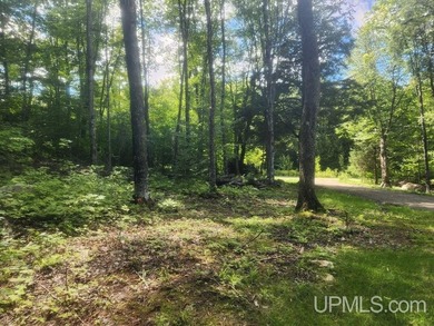 Your Ultimate Northwoods Destination!! Build your dream home on - photo 59