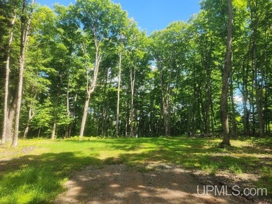Your Ultimate Northwoods Destination!! Build your dream home on - photo 60