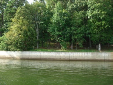 Pickwick Lake Lot For Sale in Savannah Tennessee