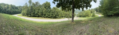 Beautiful acre lot with panoramic lakeview and view of the Marina - photo 2