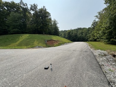 Beautiful acre lot with panoramic lakeview and view of the Marina - photo 5