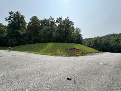 Beautiful acre lot with panoramic lakeview and view of the Marina - photo 4