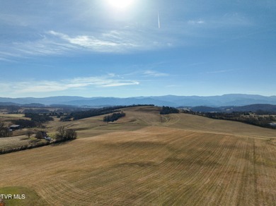 Nolichucky River Acreage For Sale in Limestone Tennessee