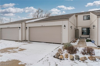 Lake Condo For Sale in Huron, Ohio