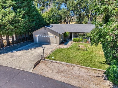 Tucked at the end of a quiet court, this spacious single-level - photo 7