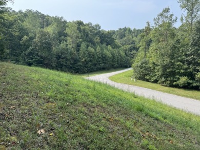 Beautiful acre lot with panoramic lakeview and view of the Marina - photo 6