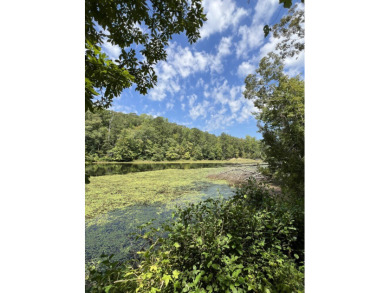 (private lake, pond, coastal) Acreage For Sale in Cottondale Alabama