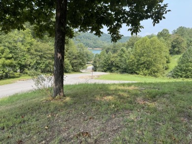 Beautiful acre lot with panoramic lakeview and view of the Marina - photo 7