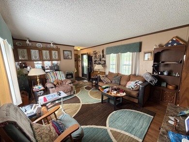 Mobile Home situated on 3 Lots in the Rocky Fork Lake Area- - photo 9