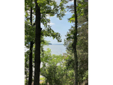 Lake Acreage For Sale in Winnsboro, South Carolina