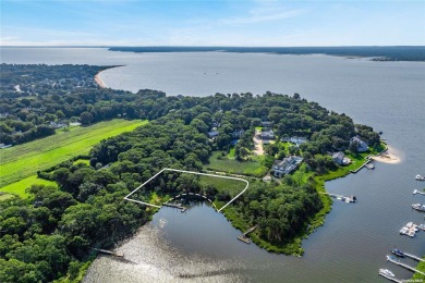 (private lake, pond, coastal) Lot Sale Pending in Aquebogue New York