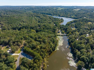 224 Feet of LAKEFRONT PROPERTY! Perfect spot on beautiful - photo 11