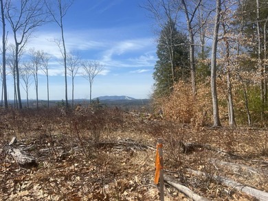 Stunning 10A+- acre Kingdom lot offering breathtaking panoramic - photo 11