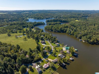 224 Feet of LAKEFRONT PROPERTY! Perfect spot on beautiful - photo 12