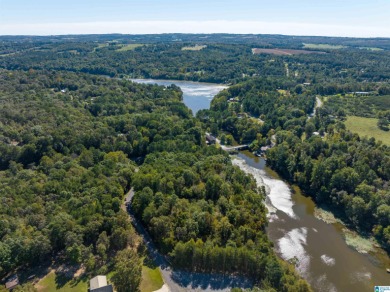 224 Feet of LAKEFRONT PROPERTY! Perfect spot on beautiful - photo 13