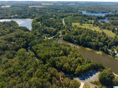 224 Feet of LAKEFRONT PROPERTY! Perfect spot on beautiful - photo 14