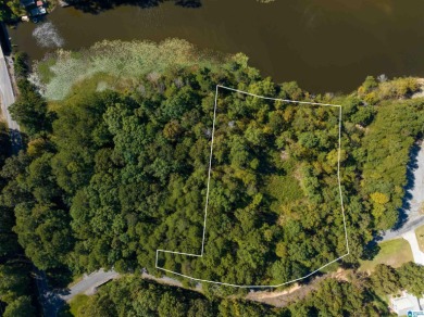 224 Feet of LAKEFRONT PROPERTY! Perfect spot on beautiful - photo 15