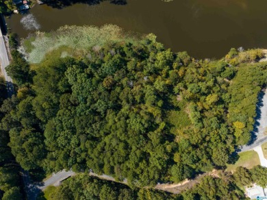 224 Feet of LAKEFRONT PROPERTY! Perfect spot on beautiful - photo 16
