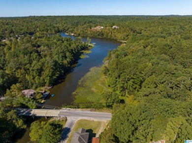 224 Feet of LAKEFRONT PROPERTY! Perfect spot on beautiful - photo 17