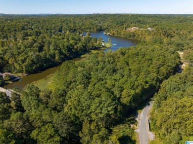 224 Feet of LAKEFRONT PROPERTY! Perfect spot on beautiful - photo 18