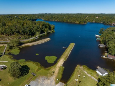 224 Feet of LAKEFRONT PROPERTY! Perfect spot on beautiful - photo 20