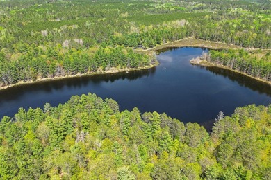 This luxury 4BR/3BA custom estate near Land O'Lakes sits on 14 - photo 50