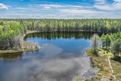 This luxury 4BR/3BA custom estate near Land O'Lakes sits on 14 - photo 54